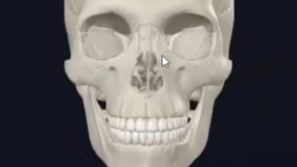 MASTERCLASS HIDROXIPATITA DE CALCIO