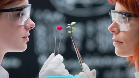 medicina biorreguladora